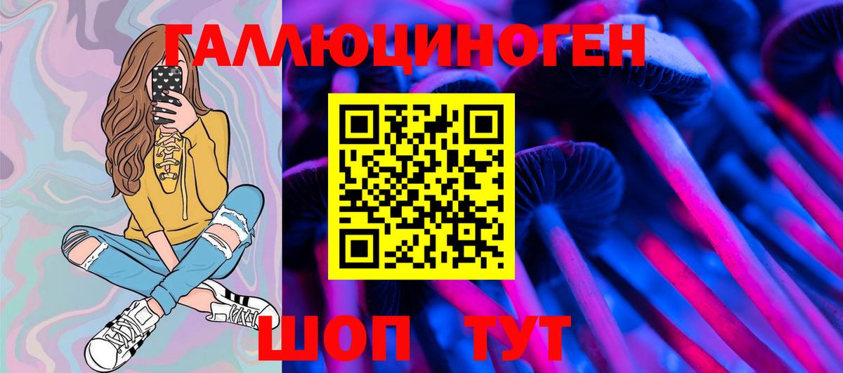 Алатырь  Галлюциногенные грибы Cubensis  Вход с VPN 